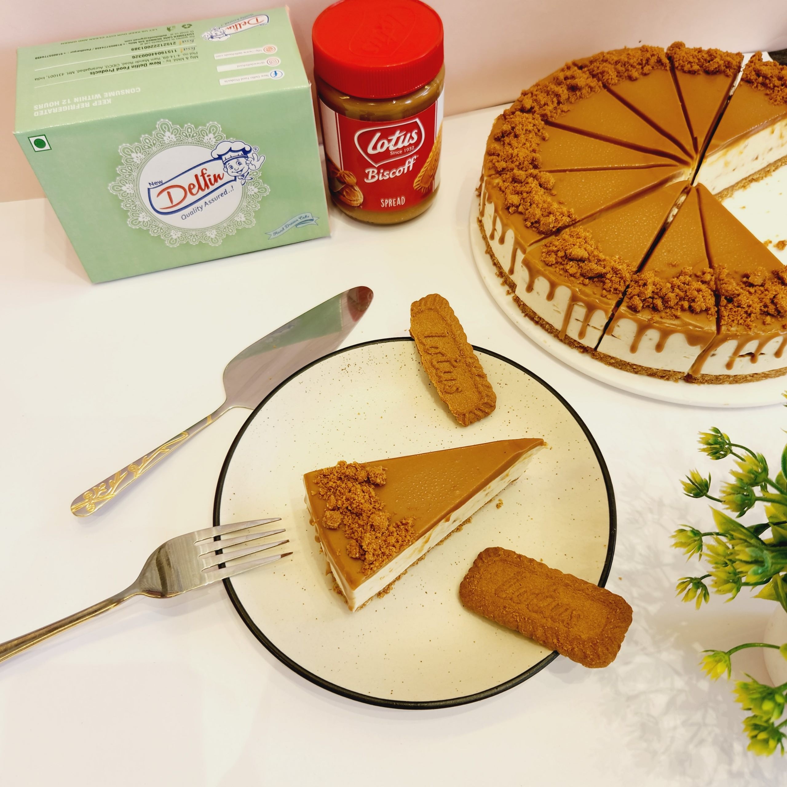 Cheese cake slice